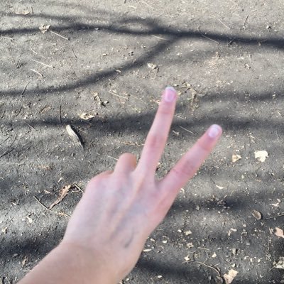 Profile Picture of Robert Stadlbauer (@RobertStadlbau2) on Twitter