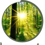 Profile Picture of Luz Na Mata (@luznamata) on Instagram