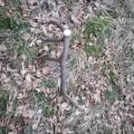 Profile Picture of Stefan Sloboda (@Stefan-Sloboda) on Facebook