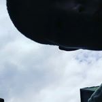 Profile Picture of Péter Tihamér (@petertihamer53) on Instagram