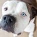 Profile Picture of Daisie Cristobal Sanchez (@flordaisie) on Pinterest
