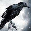 Profile Picture of Alex Mclain (@eiragone123) on Twitter