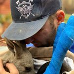 Profile Picture of Joshua Stout (@joshfromroww) on Instagram