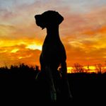 Profile Picture of Matt Pomeroy (@matt.r.pomeroy) on Instagram