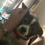 Profile Picture of Cecile (@cecilrodriguez188) on Instagram