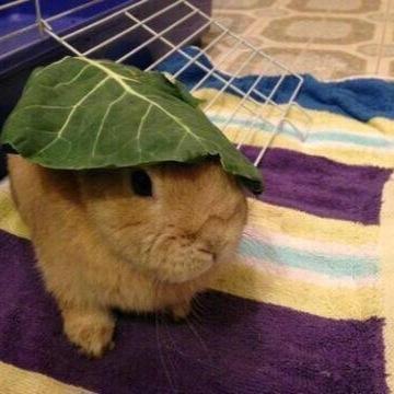 Megan Downer - Twitter Profile Picture of Megan Downer (@megandowner11) on Twitter