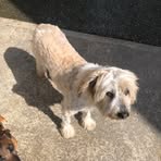 Profile Picture of Paul Sweeney (@Paul-Sweeney) on Facebook