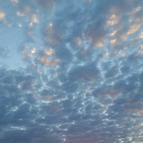 Profile Picture of Stephanie Keesee (@skpz48) on Pinterest