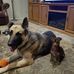 Profile Picture of Cheryl Shackelford (@cheryl.shackelford.12) on Facebook
