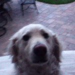 Profile Picture of John Arnett (@dukenator926) on Instagram