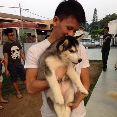 Profile Picture of Eng Hao (@Eugene_1310) on Twitter