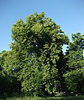 Profile Picture of Skotniki, Piotrków Countyon Wikipedia