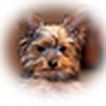 Profile Picture of Jimmitchell_foto299hdr (@jimmitchell_foto299hdr) on Flickr