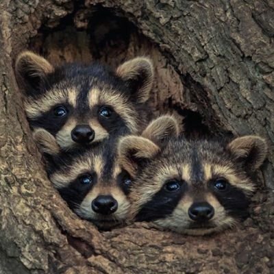 Profile Picture of Sandy Guillot (@SandyGuillot1) on Twitter