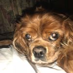 Profile Picture of Paulette Perry Kelley (@paulette.p.kelley) on Instagram