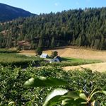 Profile Picture of Servando Alvarez (@servando.alvarez.739) on Instagram