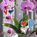 Dora Kantun - Facebook Profile Picture of Dora Kantun (@Dora-Kantun) on Facebook