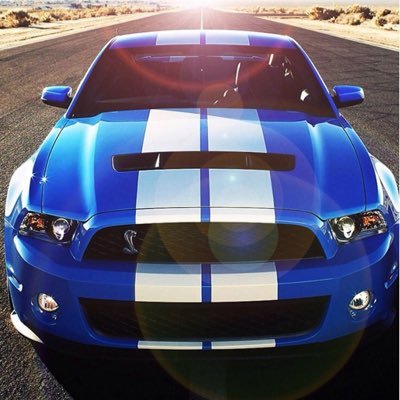 Profile Picture of Nico Capone (@bearcub112) on Twitter