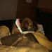 Profile Picture of Nicholas H. Deiger (@nicholas.h.deiger) on Facebook