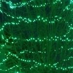 Profile Picture of nancy barkema (@nancy.barkema) on Instagram