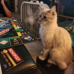 Profile Picture of Erin Brouillard (@Erin-Brouillard) on Facebook