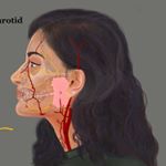 Profile Picture of Archana Venkataramani 🔆🇮🇳 (@archanavenkataramani_art) on Instagram