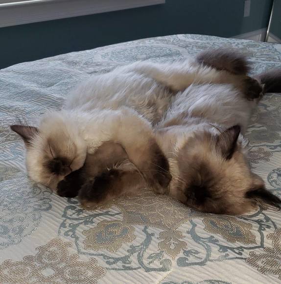 Profile Picture of Marta Eddens (@meddens) on Poshmark