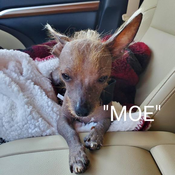 Jim Ragona - Poshmark Profile Picture of Jim Ragona (@jimragona11) on Poshmark