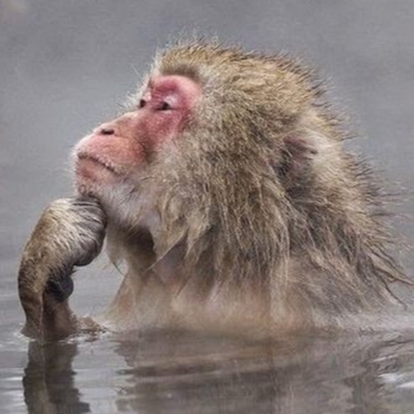 Profile Picture of Lucas Mccann (@lucasmccann) on Poshmark