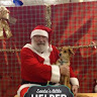 Profile Picture of April Newe (@april-newe) on Quora