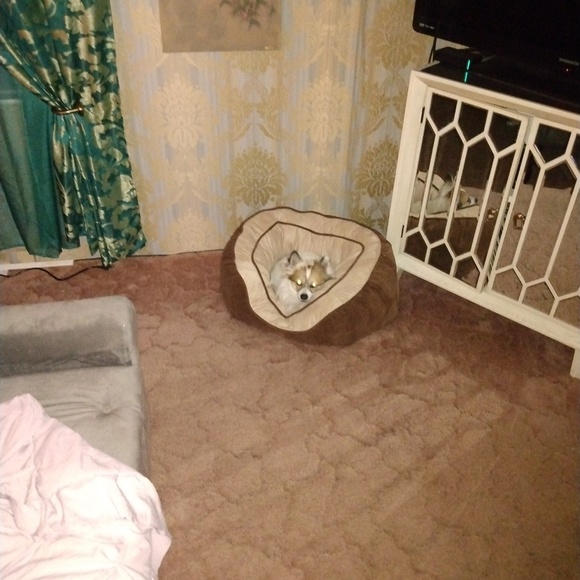 Profile Picture of Robert Bradley (@uhbgizmo2017) on Poshmark