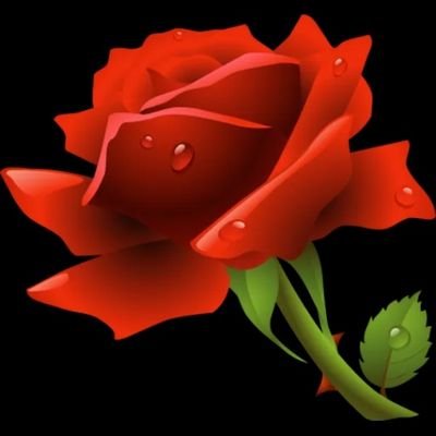 Profile Picture of Eiwaz (@eiwaz19) on Twitter