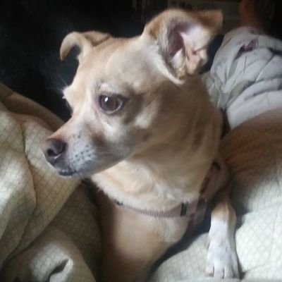 Profile Picture of Marilyn Wong (@Marilyn87119782) on Twitter