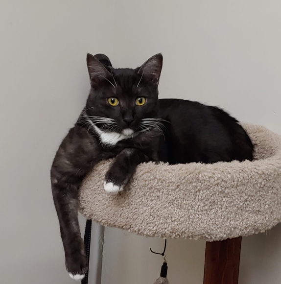 Profile Picture of Anita Molloy (@amolloy116) on Poshmark