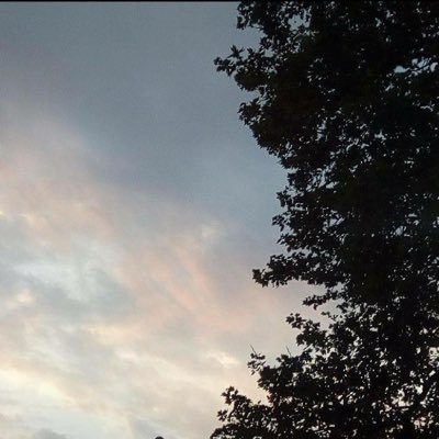 Profile Picture of Keith Ngo (@right_hand_dog) on Twitter