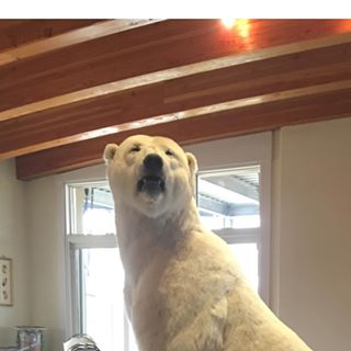 Profile Picture of David Bunko (@david.banko.520) on Facebook