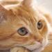 Profile Picture of vanya Vellore (@vanyavellore) on Pinterest