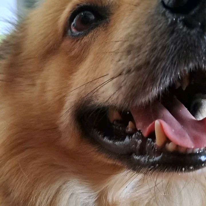 Fleminghot_ - Tiktok Profile Picture of Fleminghot_ (@fleminghot_2) on Tiktok