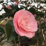 Profile Picture of nathan (@nathandachung) on Instagram