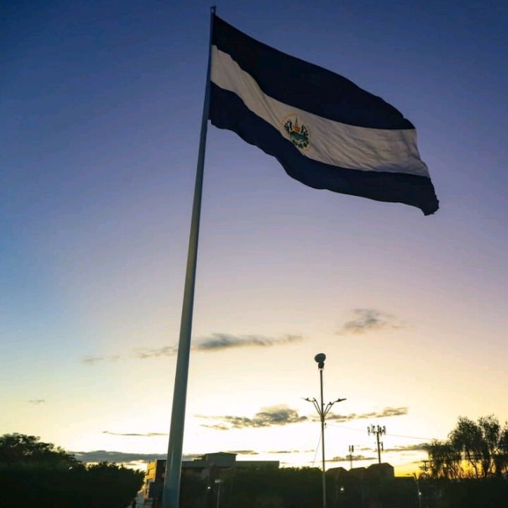 Profile Picture of Josh Vliss (@jossvls) on Tiktok