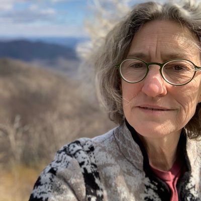 Profile Picture of Nancy White (@WordWorksPrez) on Twitter