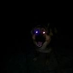 Profile Picture of michael hendricks (@michaelhendricks__photography) on Instagram