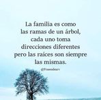 Raymon Wrap - Facebook Profile Picture of Raymon Wrap (@normark.abogados.1) on Facebook