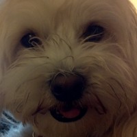 Profile Picture of Matt Heiden (@matt-heiden-1) on Quora