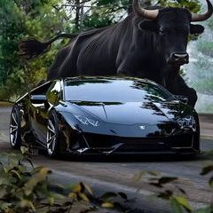 Profile Picture of Daniel Melero (@daniel.melero5) on Tiktok