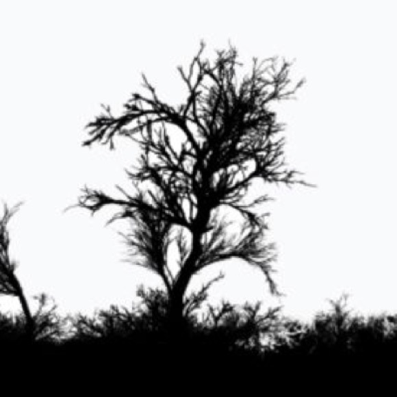 Profile Picture of Montana Smallman (@m_smallman) on Poshmark