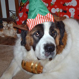 Profile Picture of Jerry Armpriester Gaul (@jerry.a.gaul) on Facebook