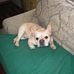 Profile Picture of Jean Birsette (@jean.birsette) on Facebook