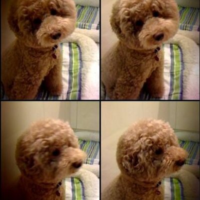 Jessica - Twitter Profile Picture of Jessica (@__Jess__x3) on Twitter