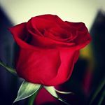 Profile Picture of Sushree Suman Prusty (@sushreesumanprusty) on Instagram